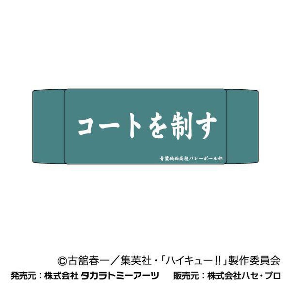 ヘアバンド　ハイキュー!!　02　青葉城西高校