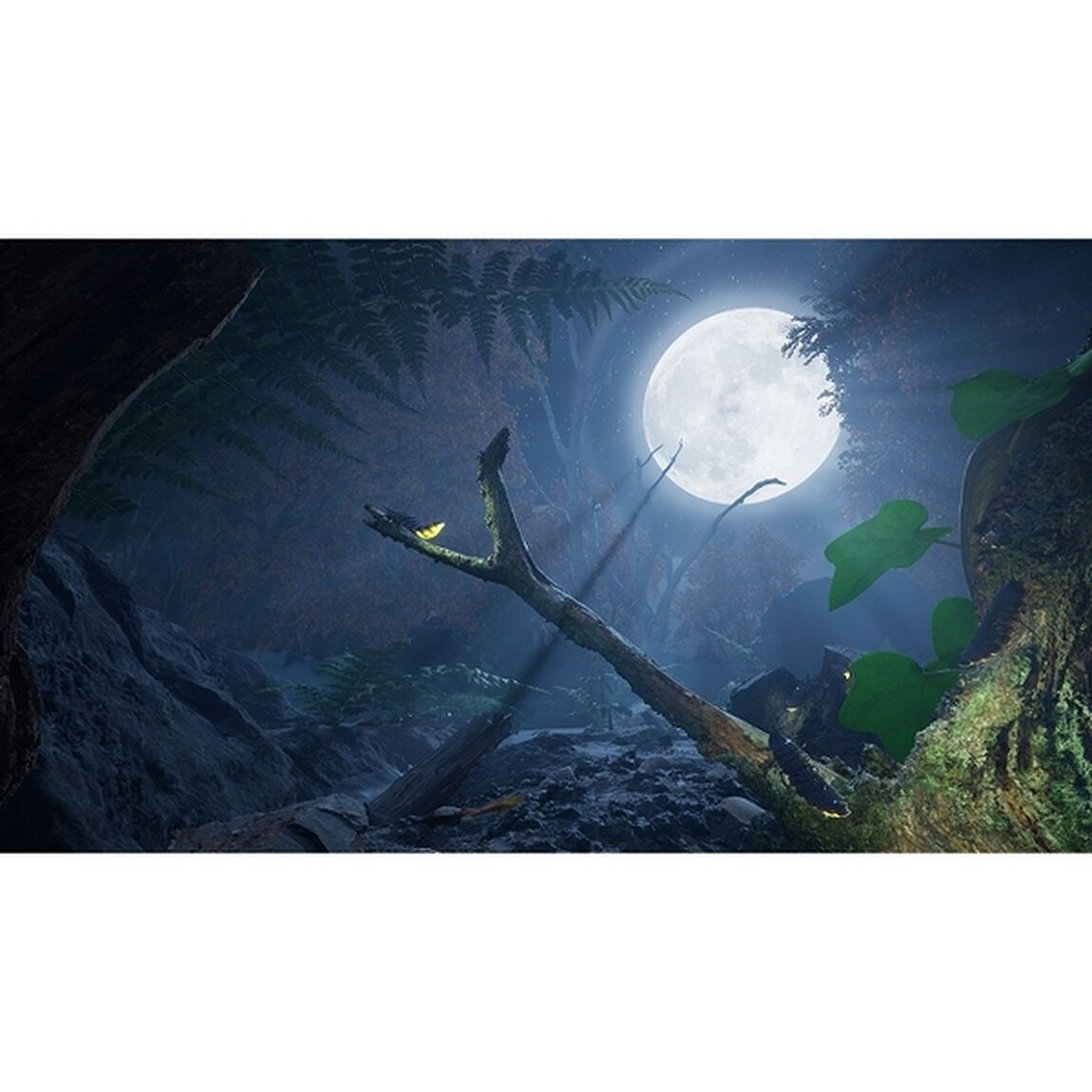 PS5　蟻の帝国ーEmpire of the Ants
