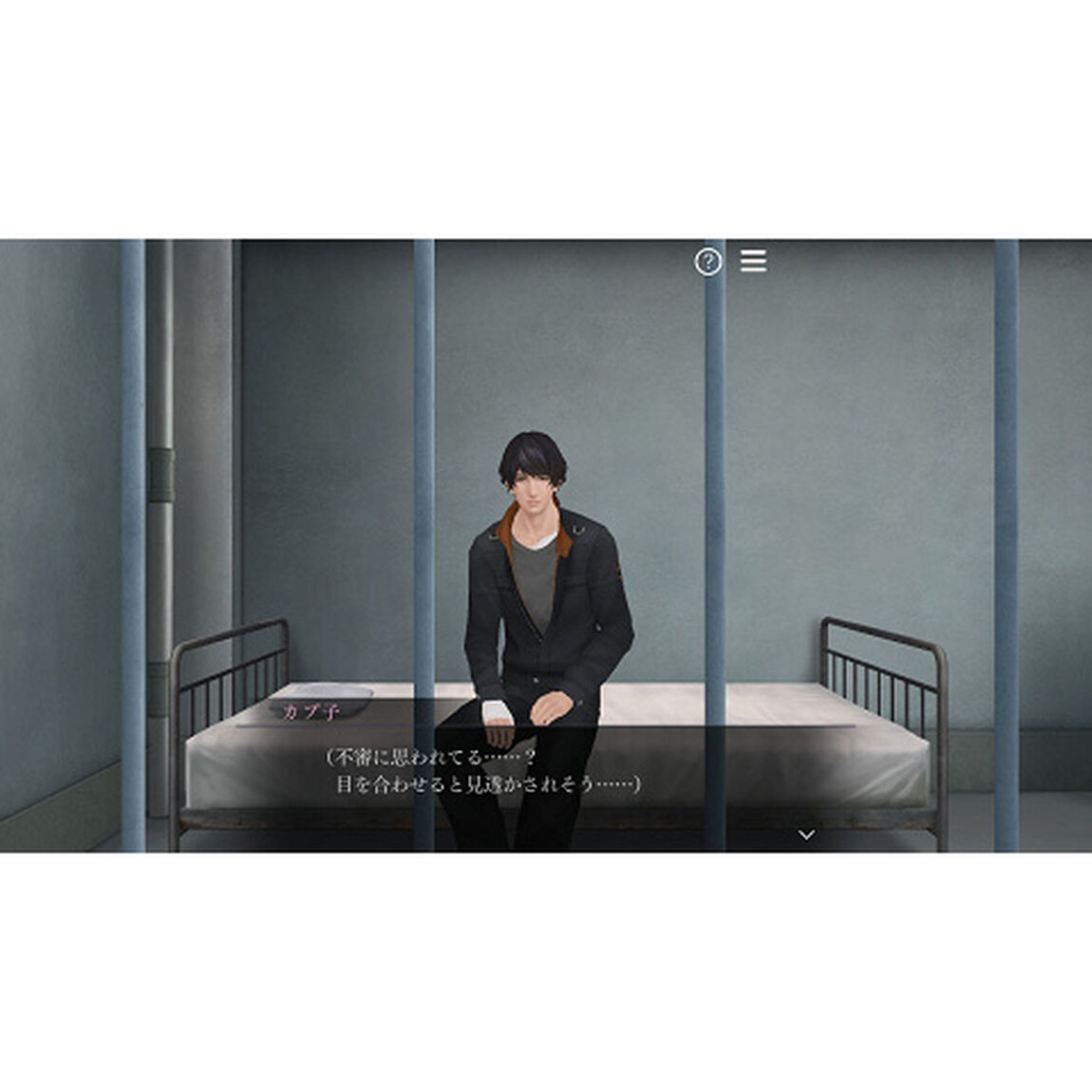 Nintendo Switch 囚われのパルマ Refrain デラックス エディション