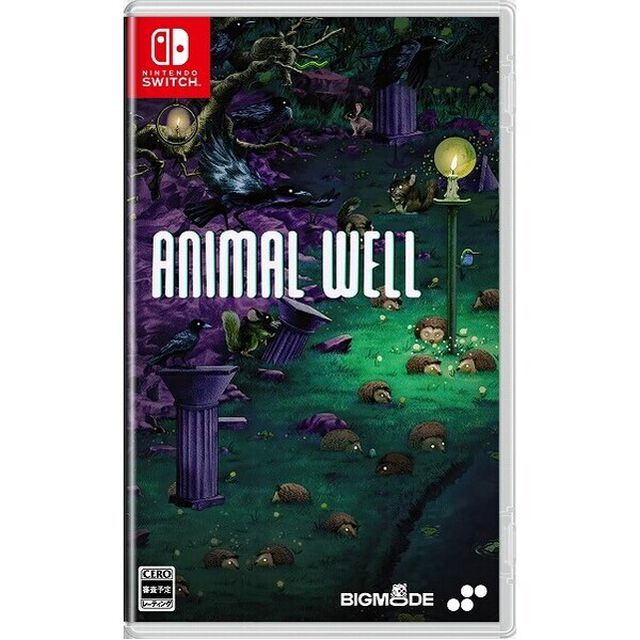 Nintendo Switch　ANIMAL WELL
