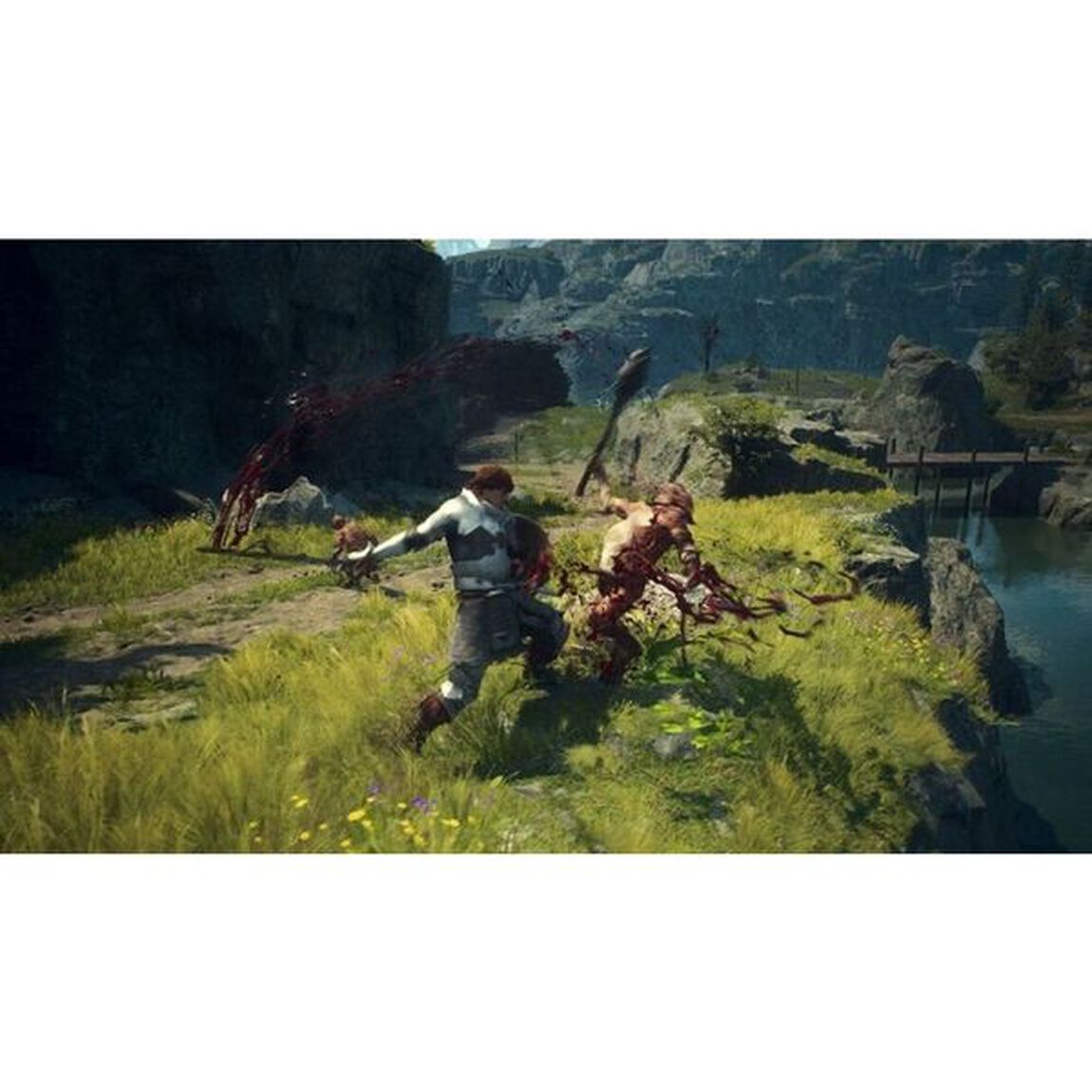 PS5　ドラゴンズドグマ 2