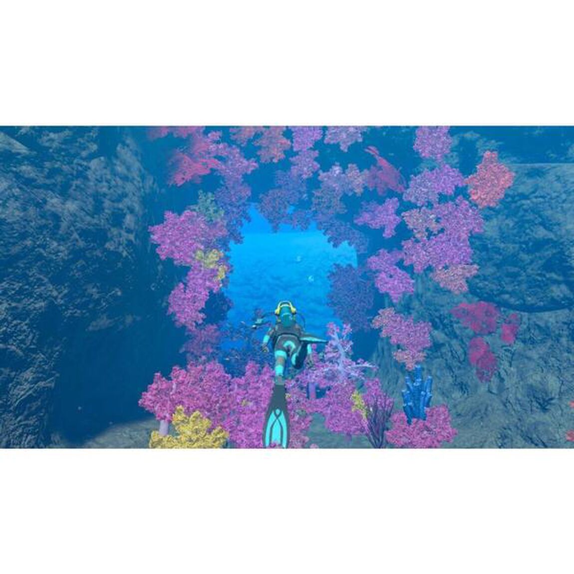 Nintendo Switch フォーエバーブルー ルミナス