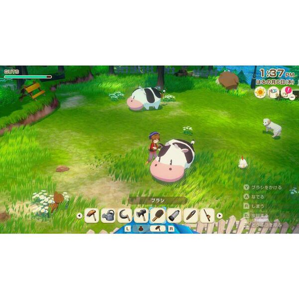 Nintendo Switch 2 牧場物語 Let's！風のグランドバザール Nintendo Switch 2 Edition