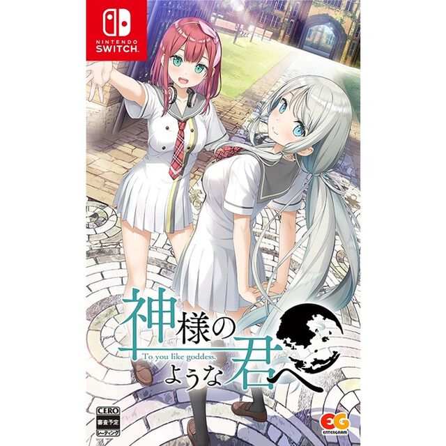 Nintendo Switch　神様のような君へ