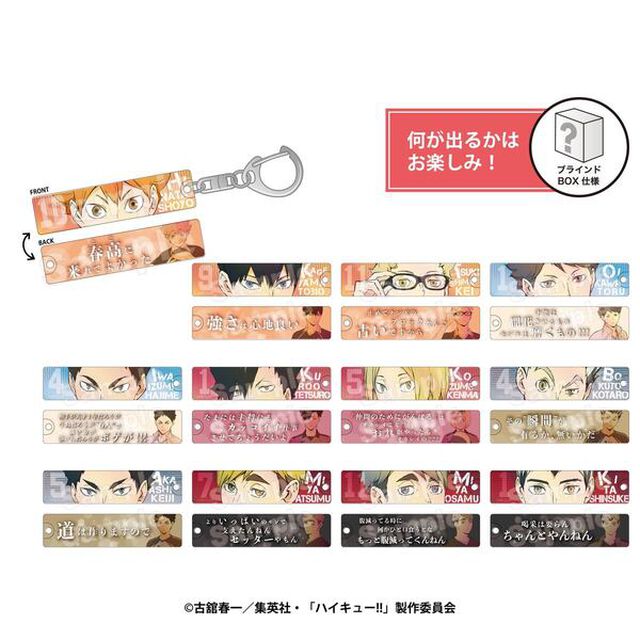トレーディング目ヂカラアクリルキーホルダーコレクション　第1弾　ハイキュー!!【再販】BOX