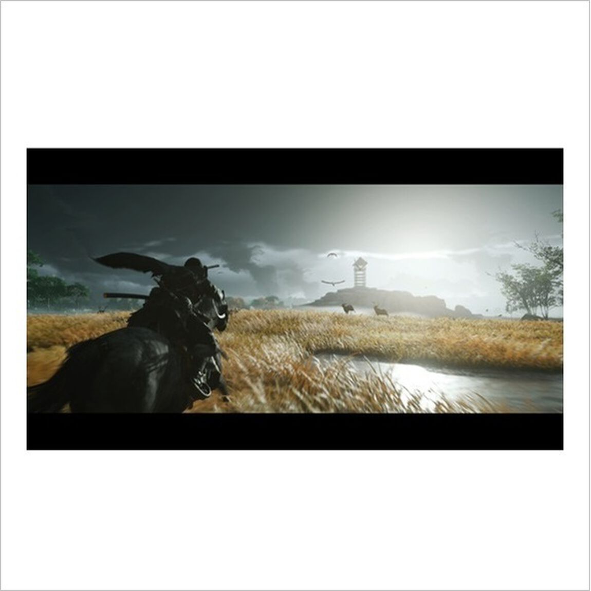 PS4　Ghost of Tsushima（発売日以降お届け分）