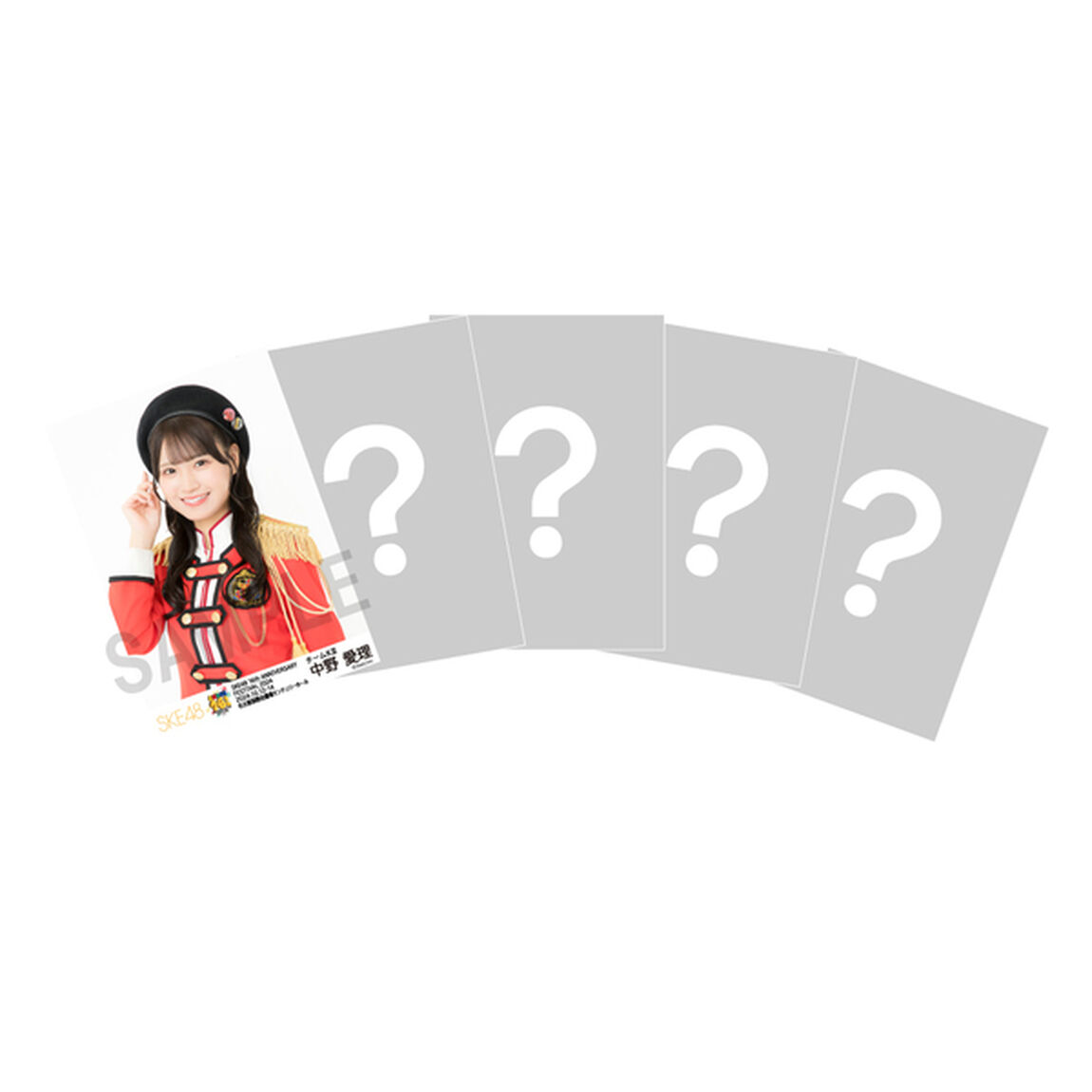 【SKE48】SKE48 16th Anniversary Festival 2024 チーム別ランダム生写真セット（チームKII）