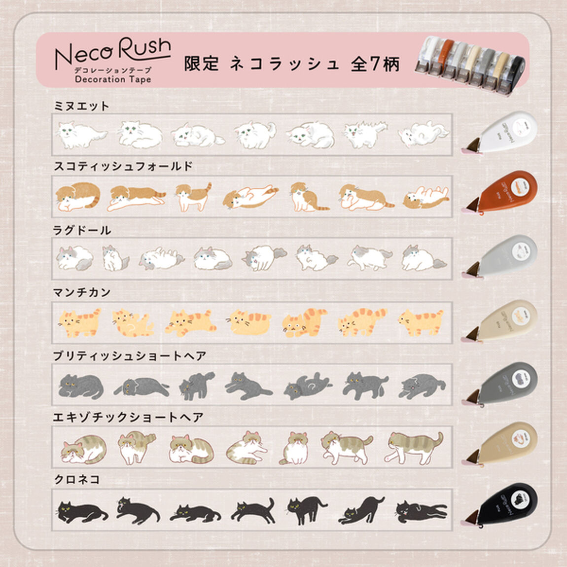 デコラッシュ太幅タイプ 限定ネコラッシュ ミヌエット/スコティッシュフォールド/ラグドール/マンチカン