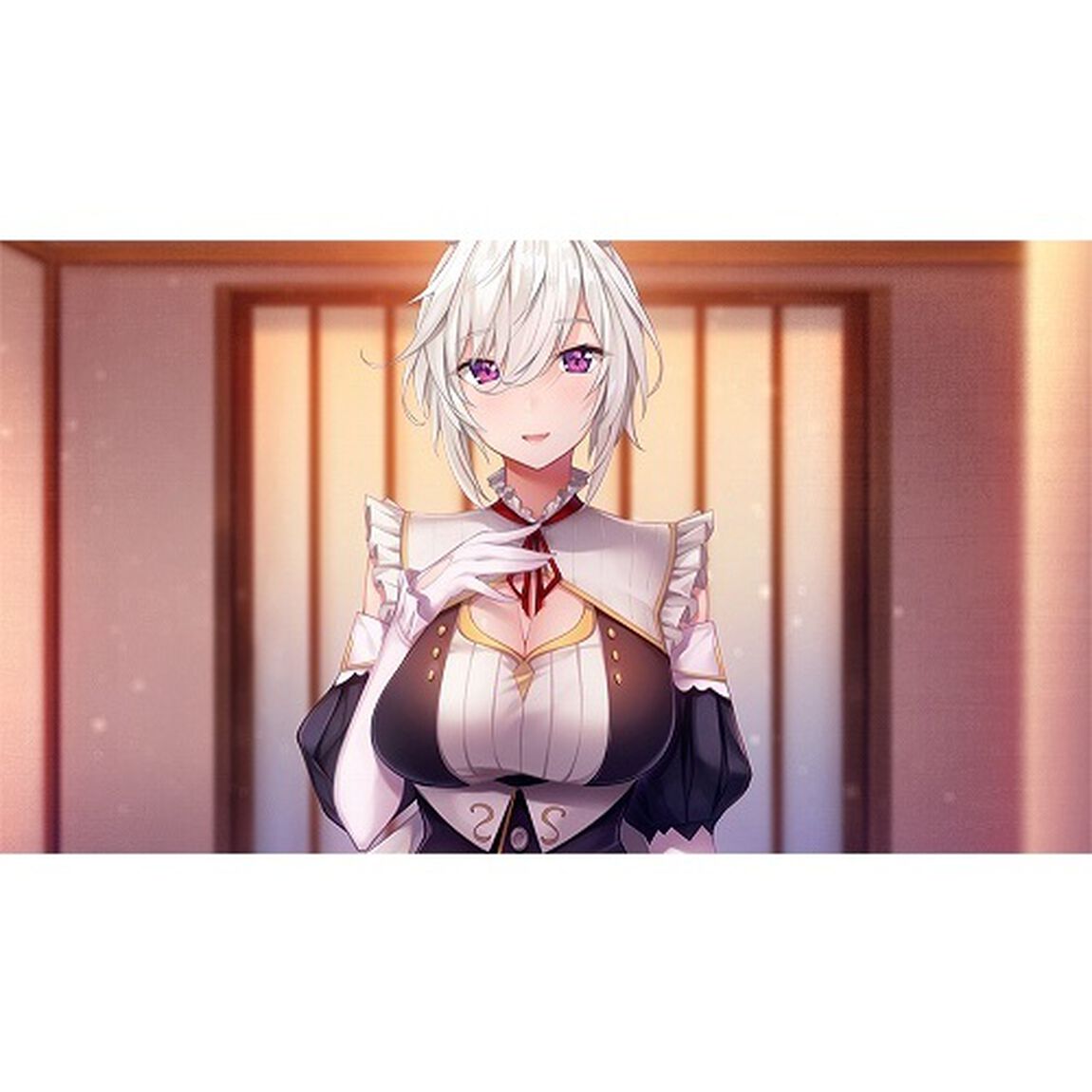 PS4　メイドさんのいる暮らし　プレミアムエディション
