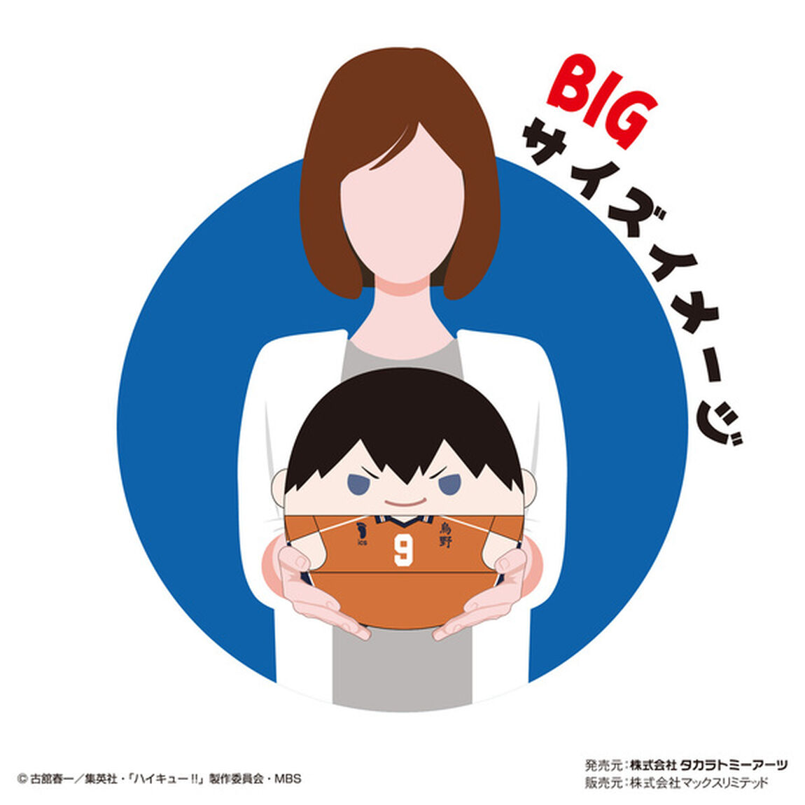 ハイキュー!! ふわコロりんBIG6 B 菅原孝支（2023年3月以降発売予定）