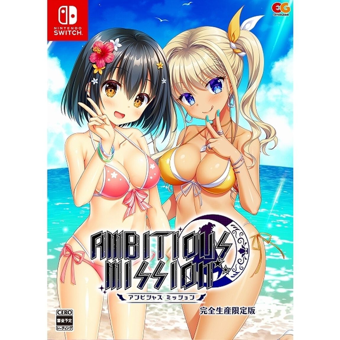 Nintendo Switch　AMBITIOUS MISSION　完全生産限定版