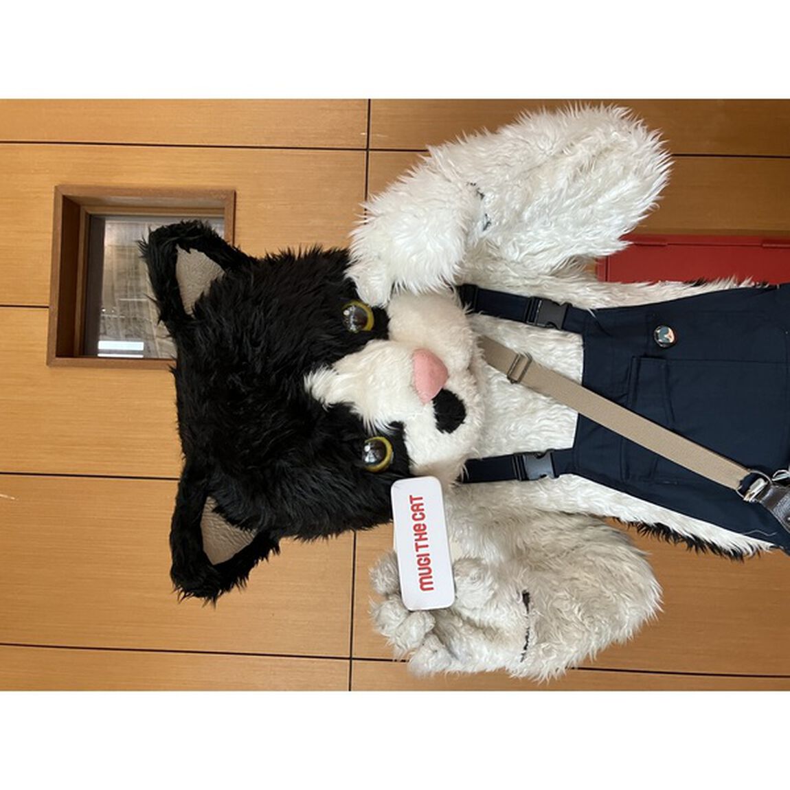 むぎ(猫)／歴史を刻め！こだわりの白いメガネケース&クロス