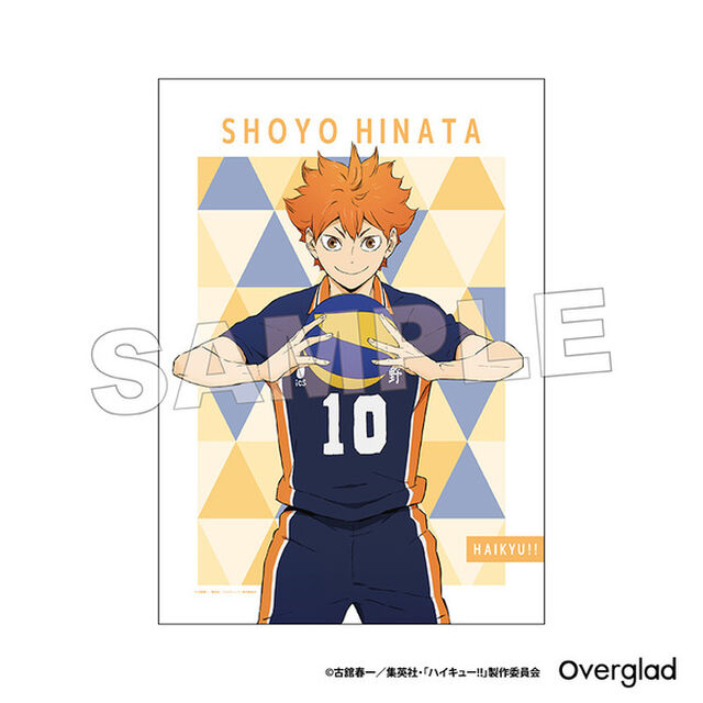 ハイキュー!! 布ポスター パターンアート（日向翔陽）（2025年7月上旬以降発売予定）