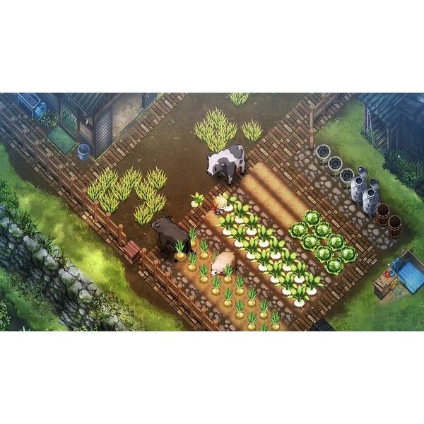 Nintendo Switch ほの暮しの庭 - 通販｜セブンネットショッピング