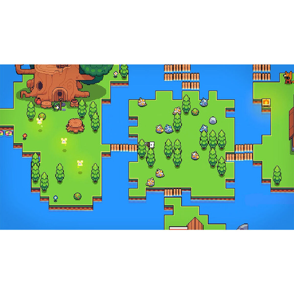 Nintendo Switch　Forager（フォレジャー）