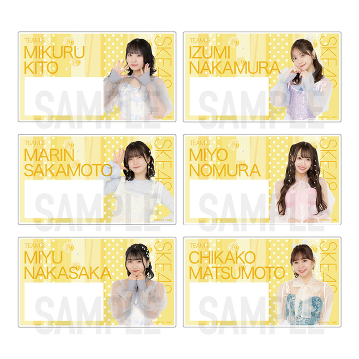 【SKE48】SKE48 32nd SG「愛のホログラム」チーム別ネームプレート（ランダム全12種）【チームS】