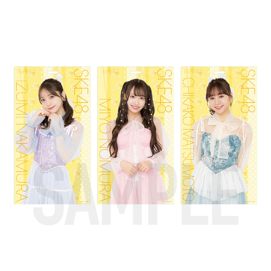 【SKE48】11 野村 実代「愛のホログラム」ホルダー