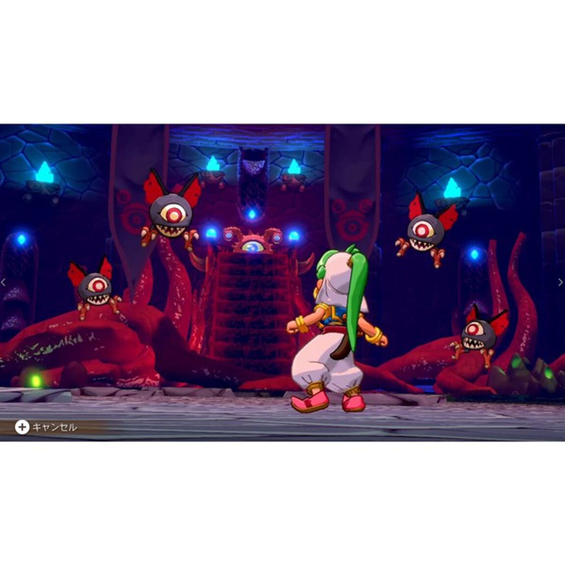 Nintendo Switch ワンダーボーイ　アーシャ・イン・モンスターワールド　スペシャルパック