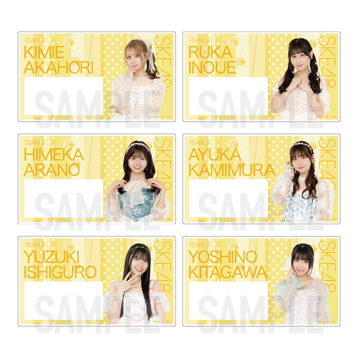 【SKE48】SKE48 32nd SG「愛のホログラム」チーム別ネームプレート（ランダム全12種）【チームS】