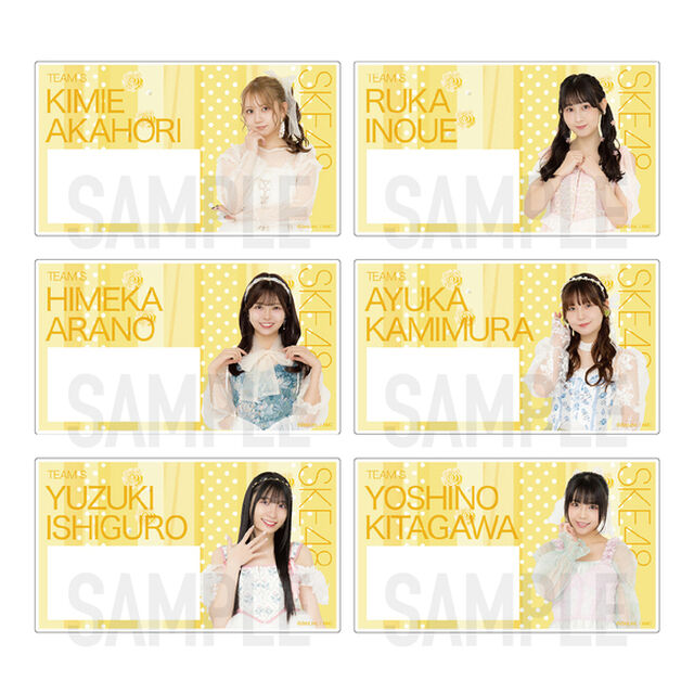 【SKE48】SKE48 32nd SG「愛のホログラム」チーム別ネームプレート（ランダム全12種）【チームS】