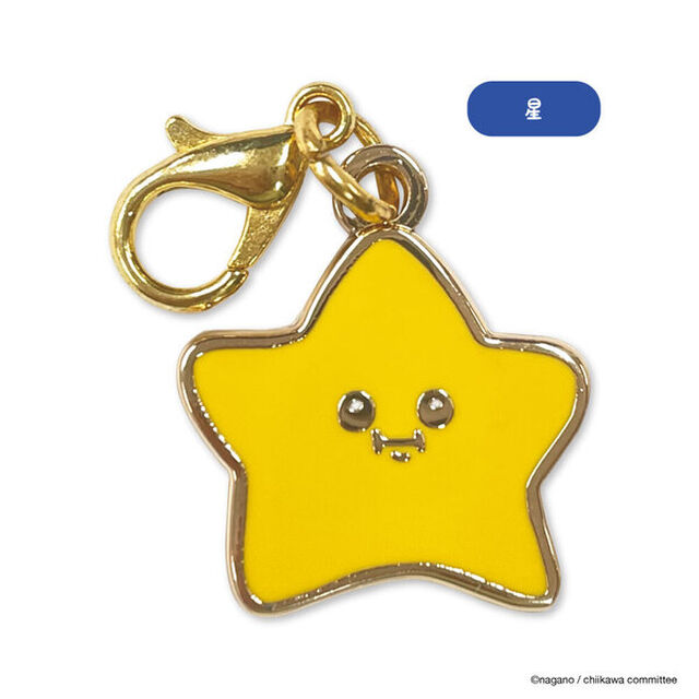 なんか小さくてかわいいチャーム　星