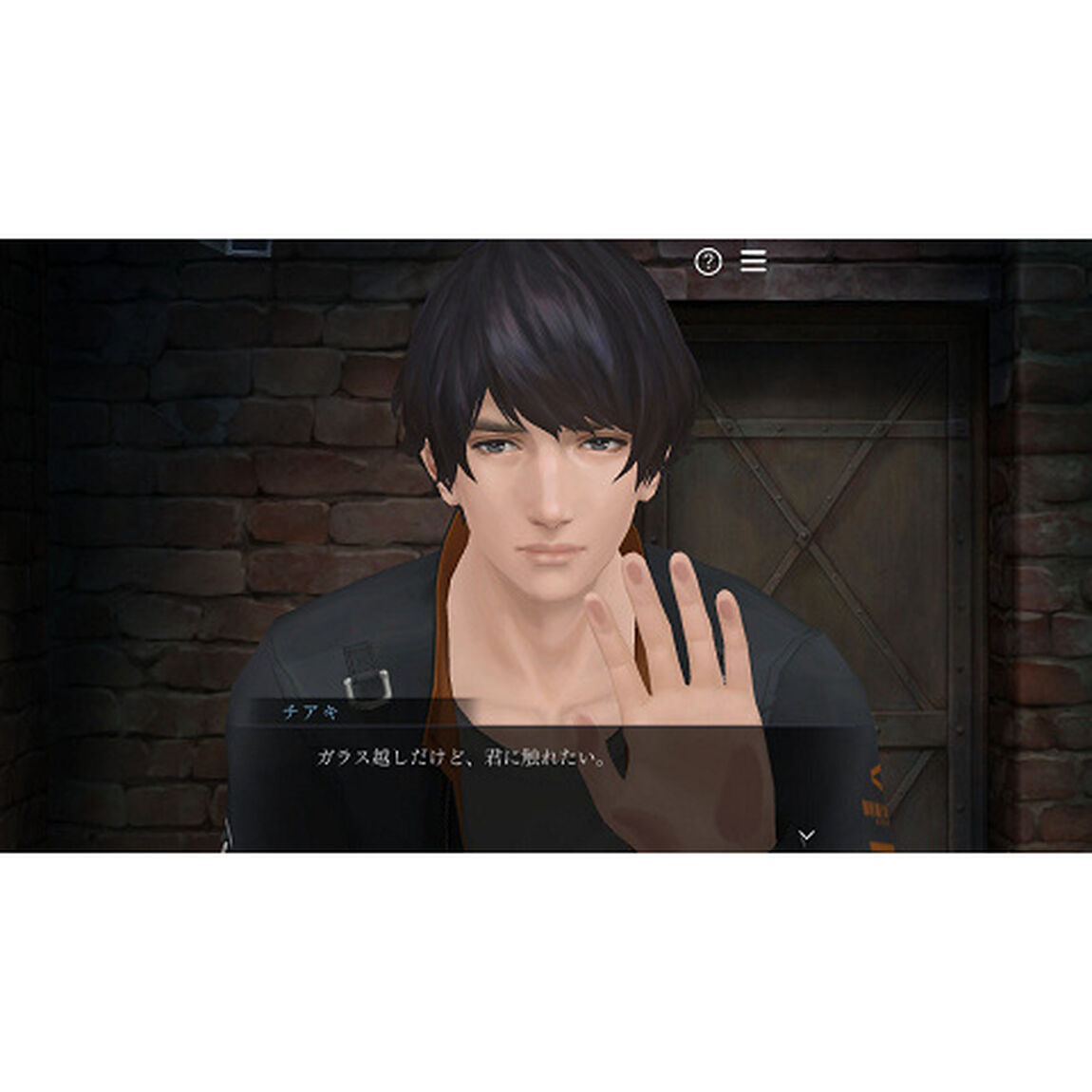 Nintendo Switch 囚われのパルマ Refrain コレクターズ エディション