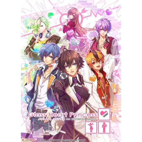 Nintendo Switch Glass Heart Princess for Nintendo Switch 特装版
