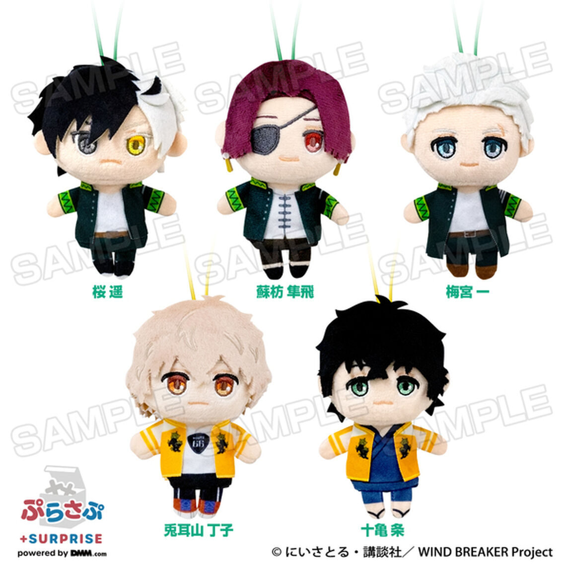 WIND BREAKER ぷらさぷ【BOX】