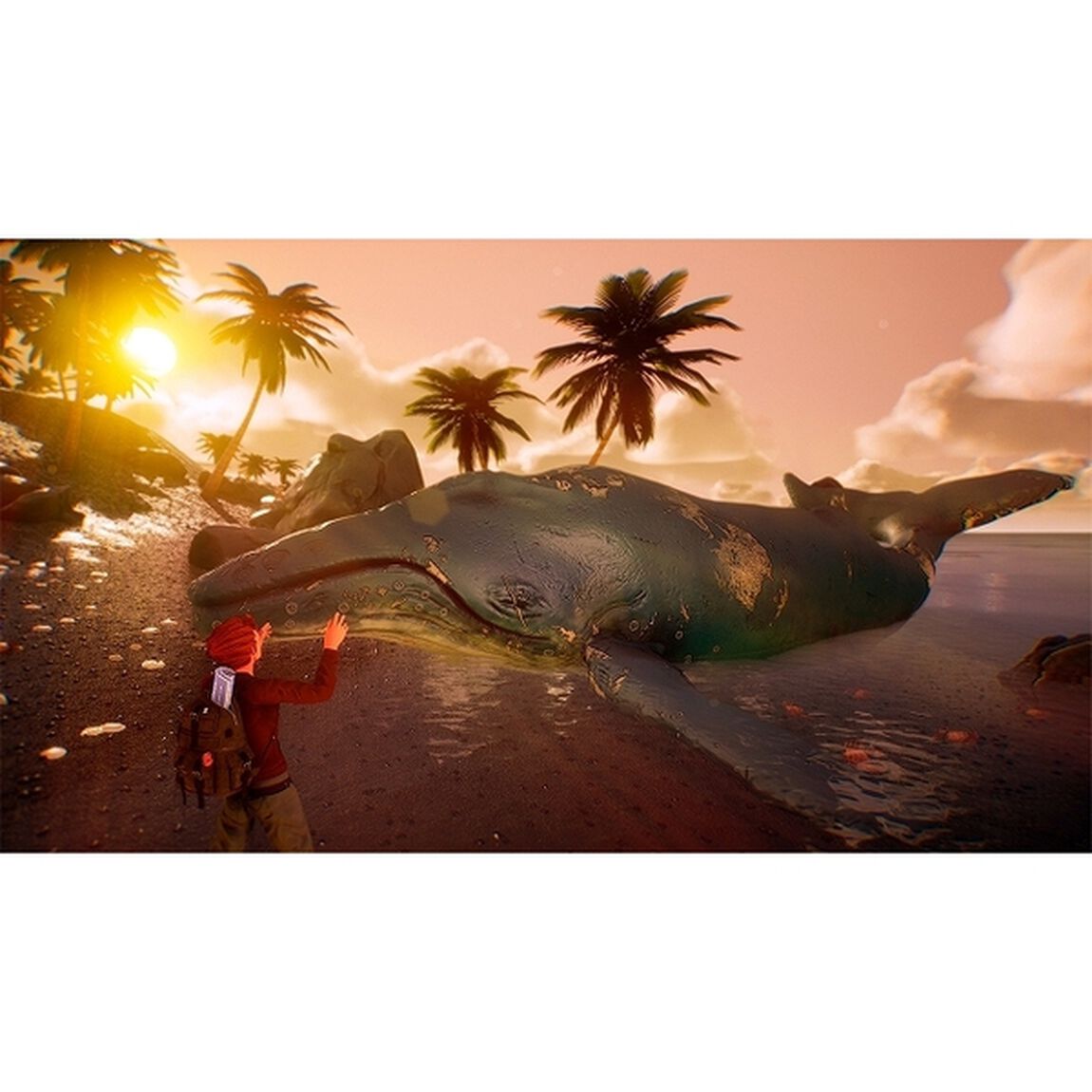 Nintendo Switch　HAZEL SKY