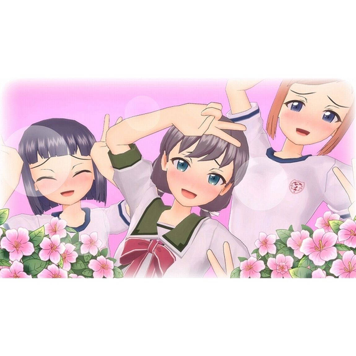 Nintendo Switch　ぎゃる☆がん　だぶるぴーす　限定版