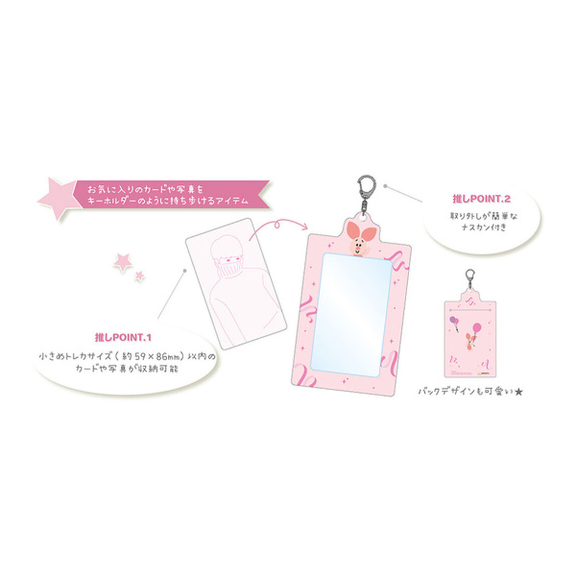 カードホルダー　Ｍｙｃｏｌｌｅｃｔｉｏｎ２　ティモシー