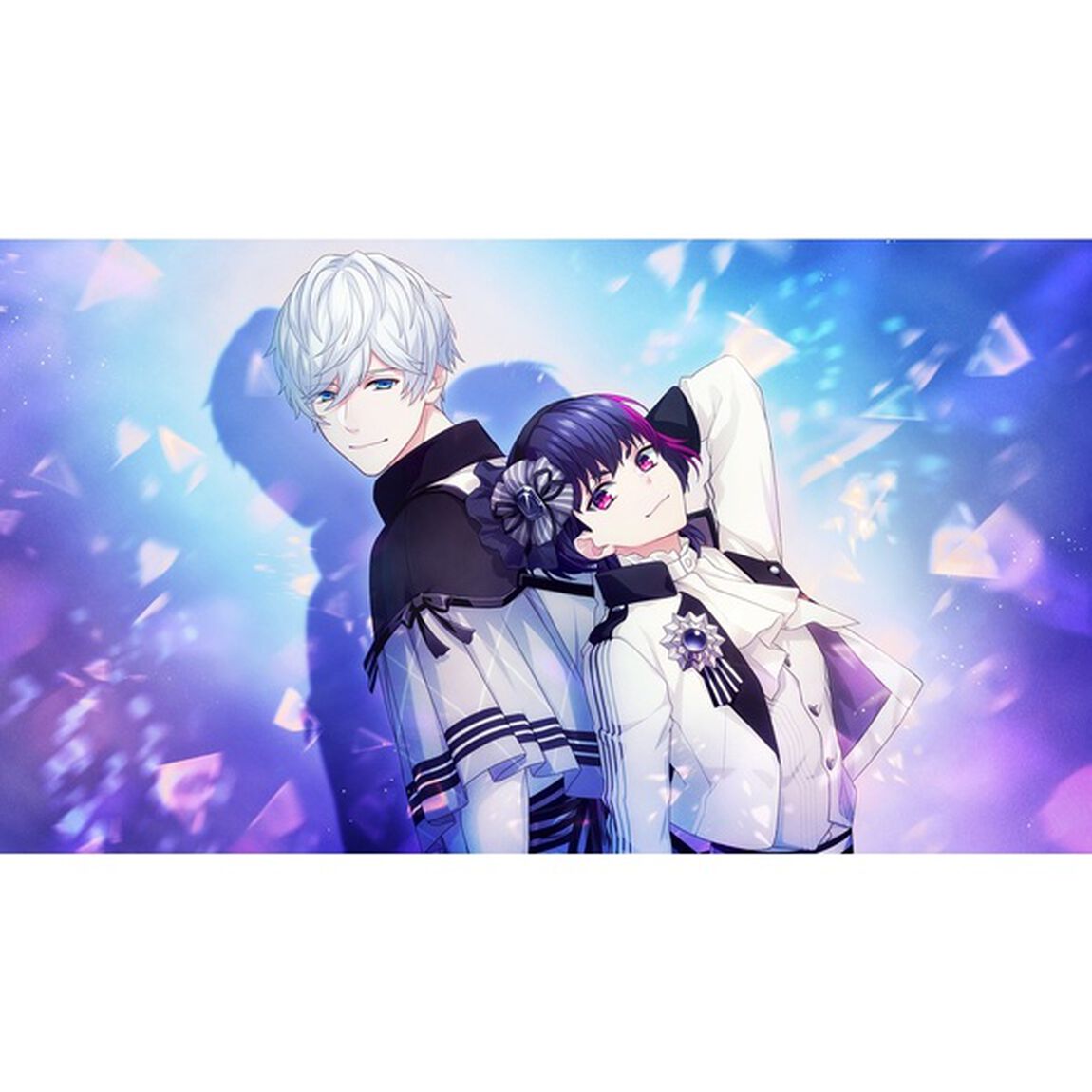 Nintendo Switch B-PROJECT 流星＊ファンタジア 限定版 -キタコレ & MooNs ver.-
