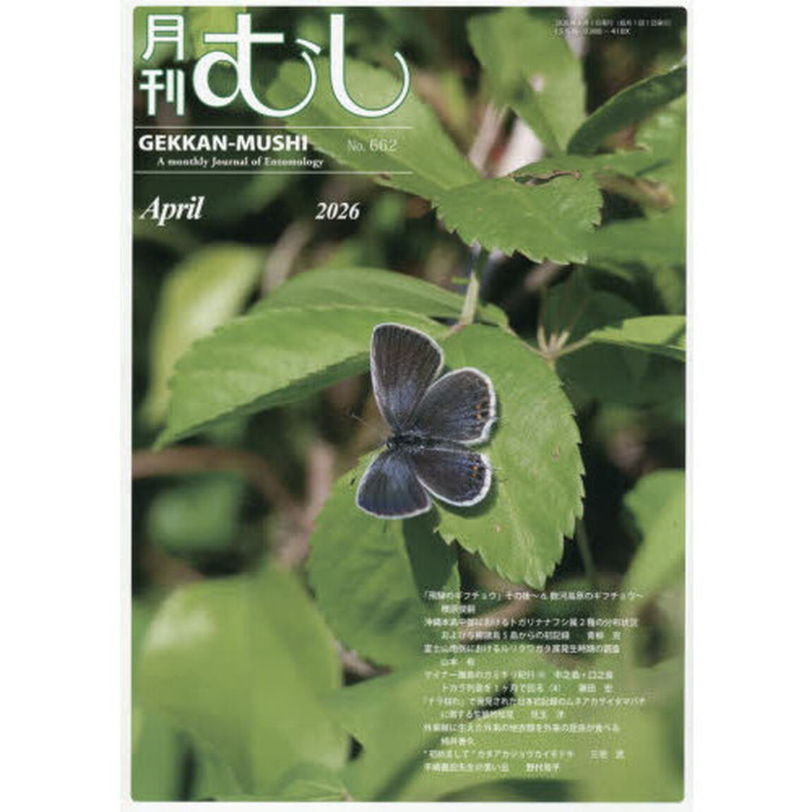 月刊むし　2026年4月号