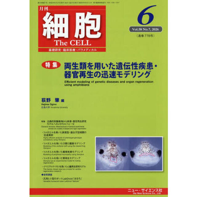 細胞　2026年6月号