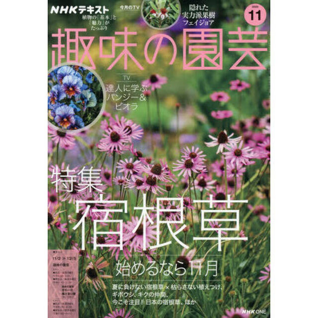 ＮＨＫ　趣味の園芸　2025年11月号