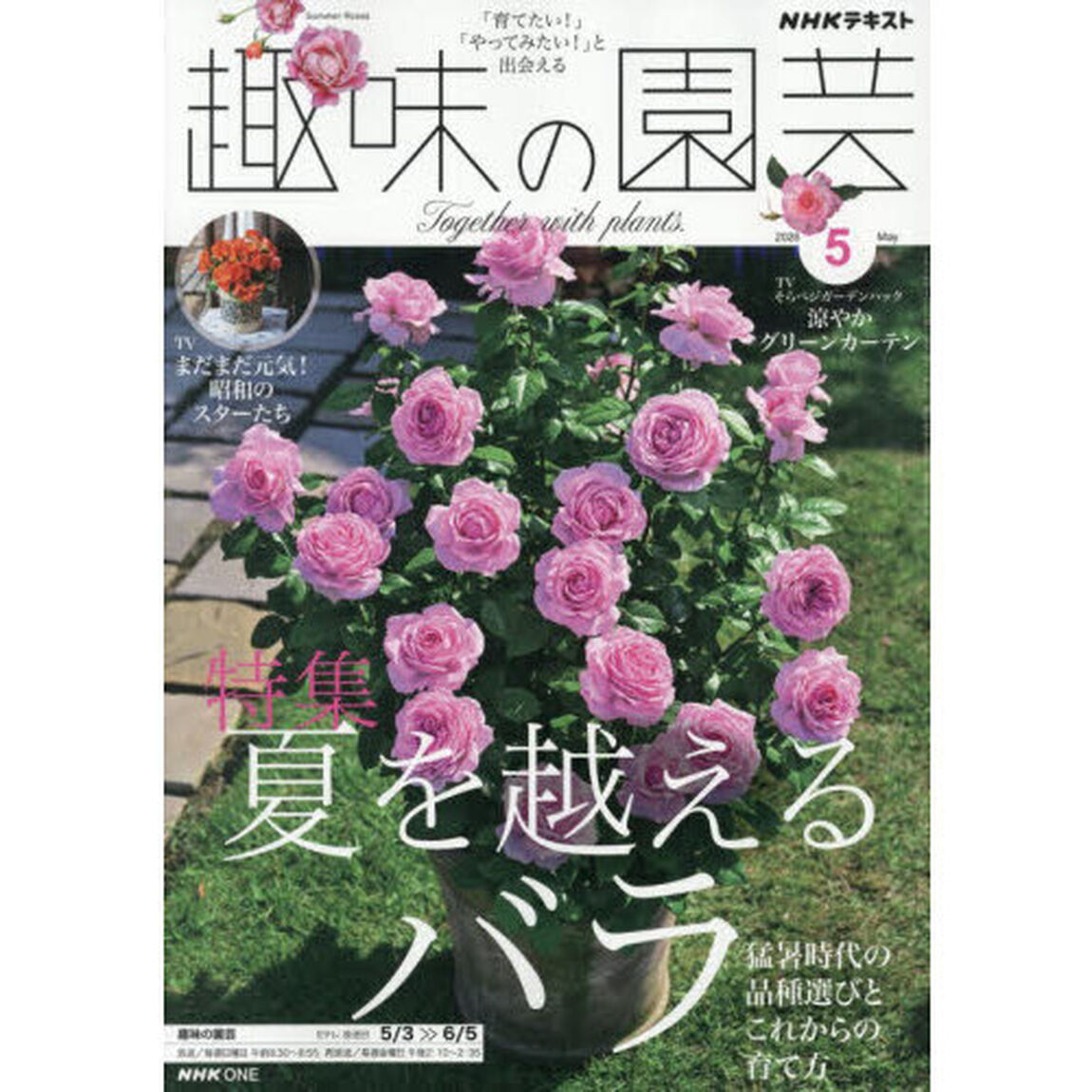 ＮＨＫ　趣味の園芸　2026年5月号
