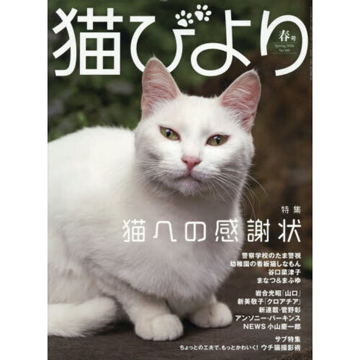 猫びより　2026年春号