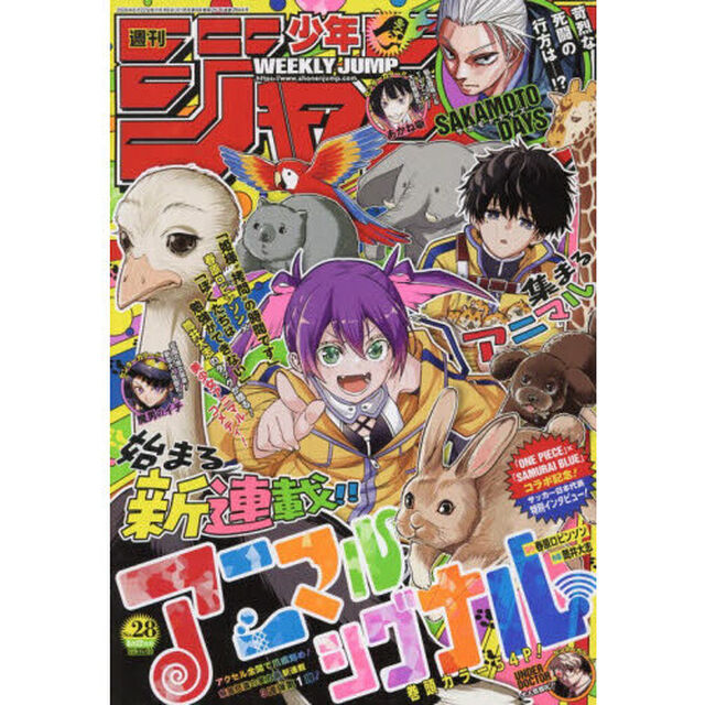 週刊少年ジャンプ　2026年6月22日号