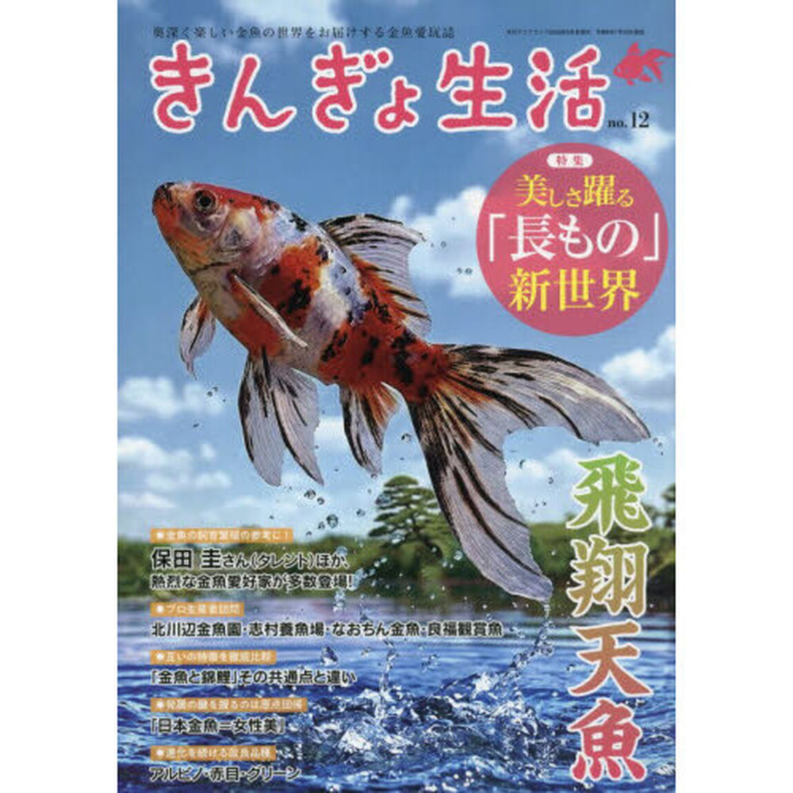 きんぎょ生活（１２）　2026年8月号