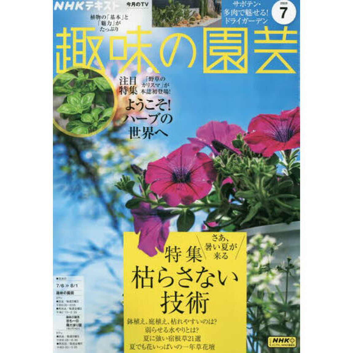 ＮＨＫ　趣味の園芸　2025年7月号