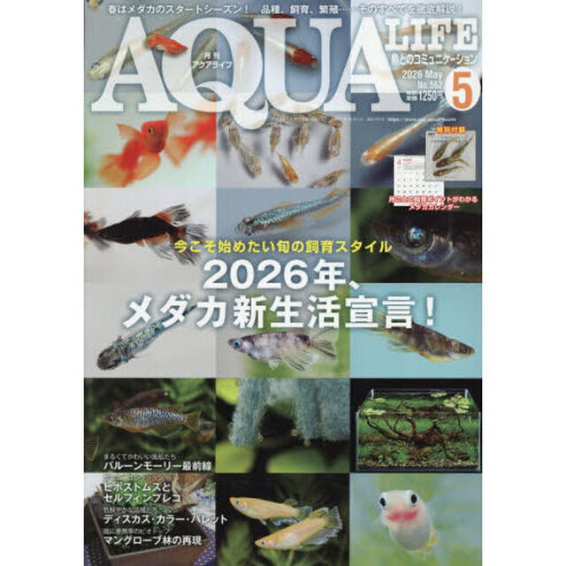 月刊アクアライフ　2026年5月号