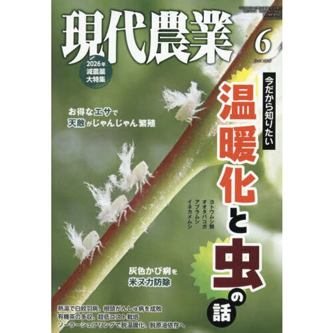 現代農業　2026年6月号