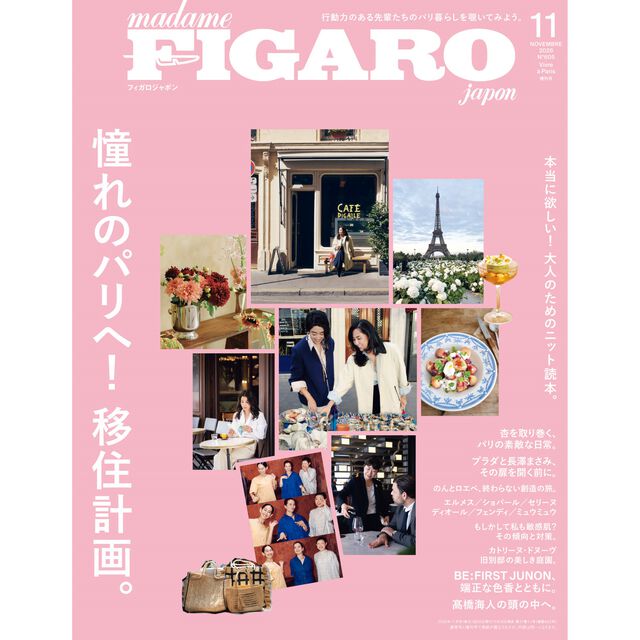 ＦＩＧＡＲＯ　ｊａｐｏｎ（フィガロジャポン）2026年11月号増刊