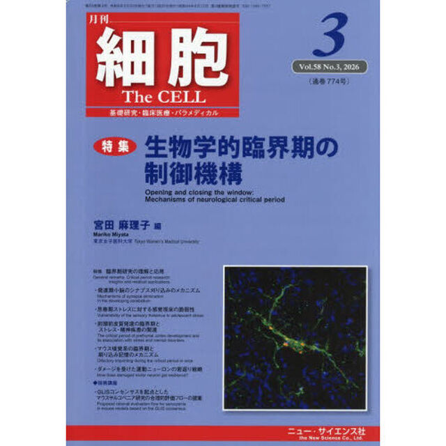 細胞　2026年3月号