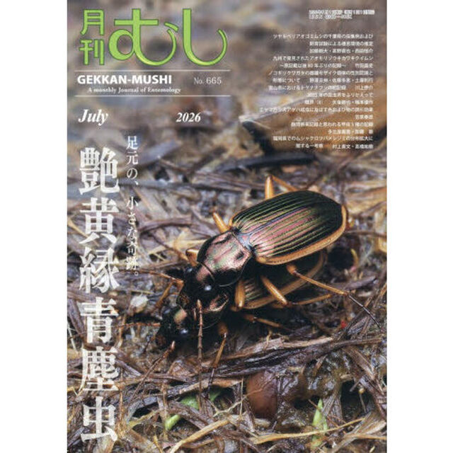 月刊むし　2026年7月号