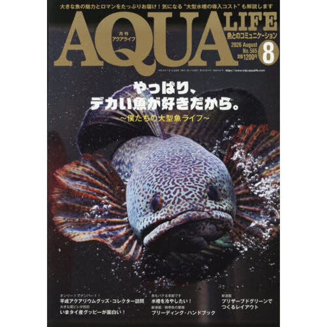 月刊アクアライフ　2026年8月号