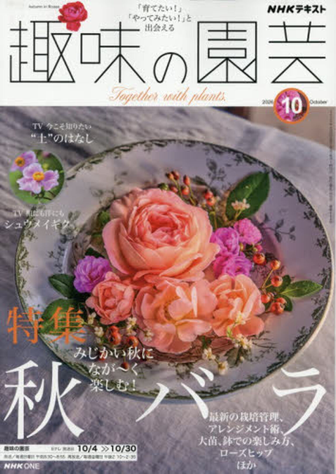 ＮＨＫ　趣味の園芸　2026年10月号