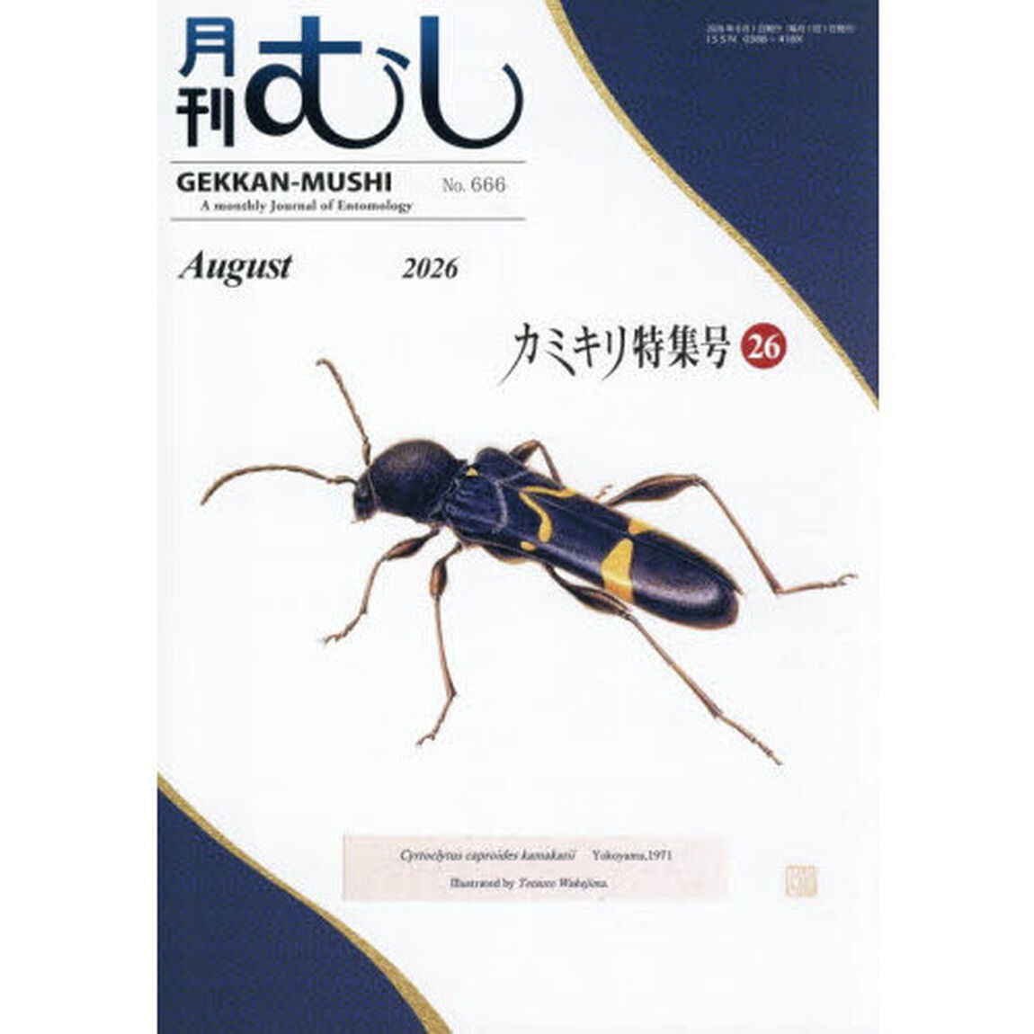 月刊むし　2026年8月号