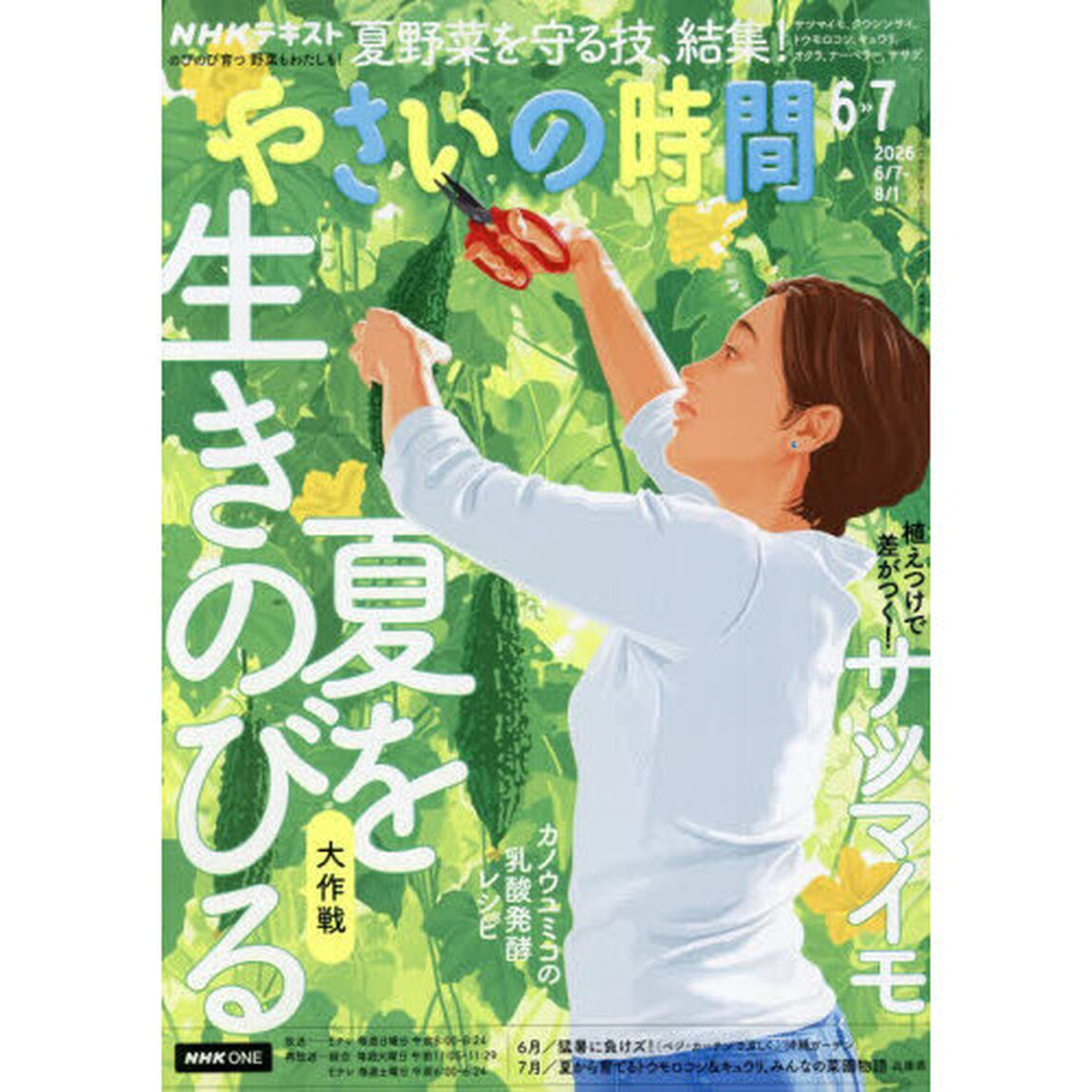 ＮＨＫ　やさいの時間　2026年6月号