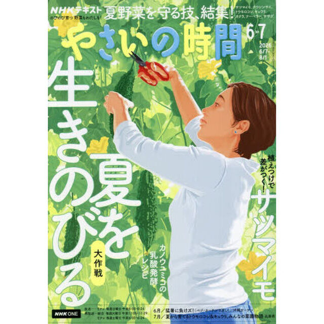 ＮＨＫ　やさいの時間　2026年6月号